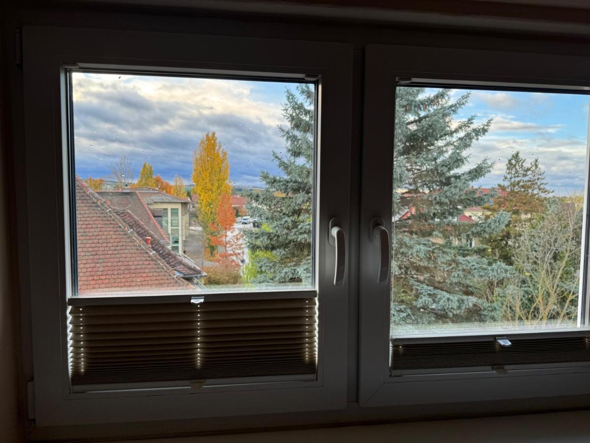 205 Qm "Traumtor" Mit Sauna, Whirlpool, Kamin Und 3 Terrassen Mit Blick In Die Boehmisch Saechsische Schweiz เดรสเดน ภายนอก รูปภาพ